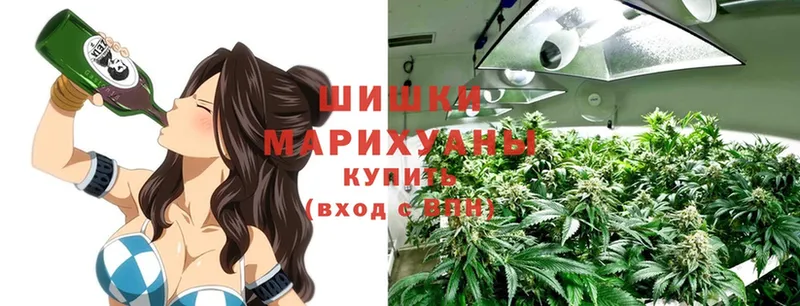 Бошки марихуана индика  Галич 